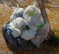 La mitad desecha el cesto de basura