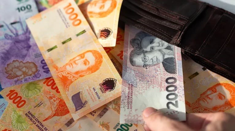 Cómo impacta el ajuste en la economía doméstica